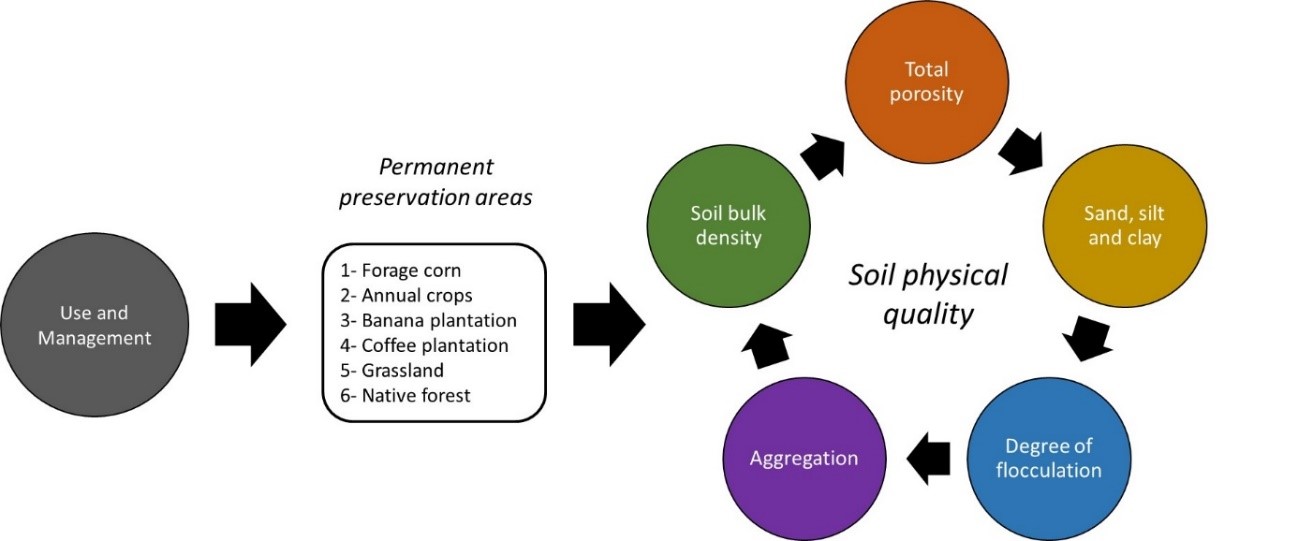 Types of use and management evaluated by physical attributes of the soil, which made it possible to evaluate the impacts on the physical quality of the soil in permanent preservation areas.
