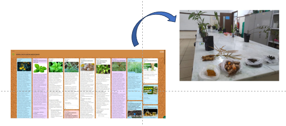 Padlet and sensory circuit of medicinal plants as methodology for introducing chemistry concepts to high school students.