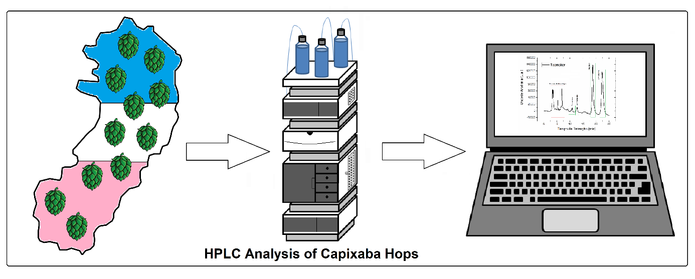 IDENTIFICAÇÃO E QUANTIFICAÇÃO DOS TEORES DE α E β-ÁCIDOS DOS LÚPULOS PLANTADOS NO ESPÍRITO SANTO POR CROMATOGRAFIA LÍQUIDA DE ALTA EFICIÊNCIA (HPLC)