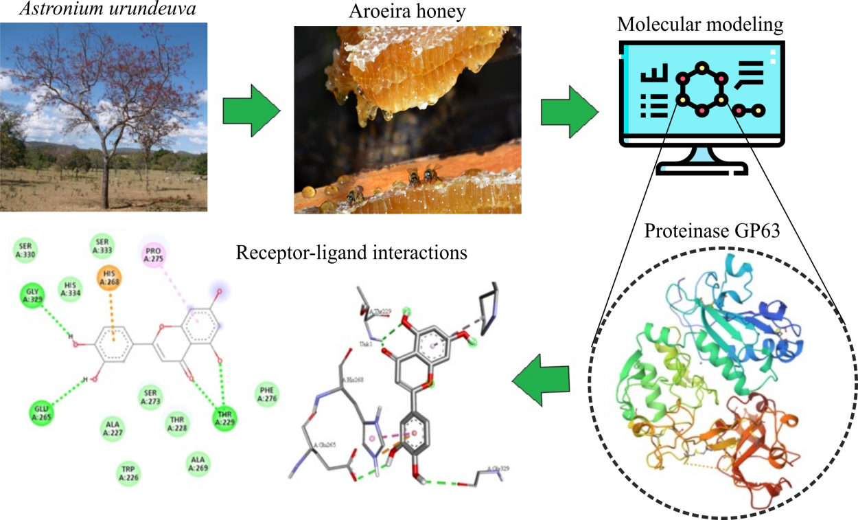 IN SILICO STUDY OF THE CONSTITUENTS OF AROEIRA HONEY (Astronium urundeuva) AND THE CAPACITY OF INTERACTION WITH LEISHMANIOSIS PROTEINASE GP63