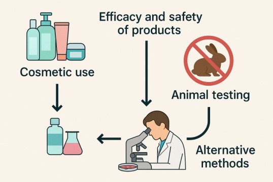  This graphical abstract illustrates the transition from animal testing to alternative in vitro methods for evaluating the safety of cosmetic products. 
